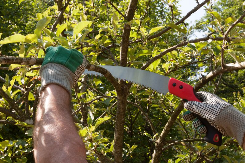 Pruning for Health